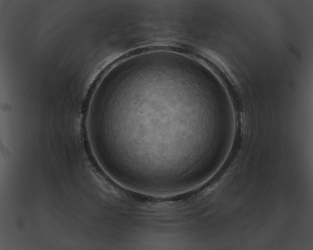 X0000090981260200708021451