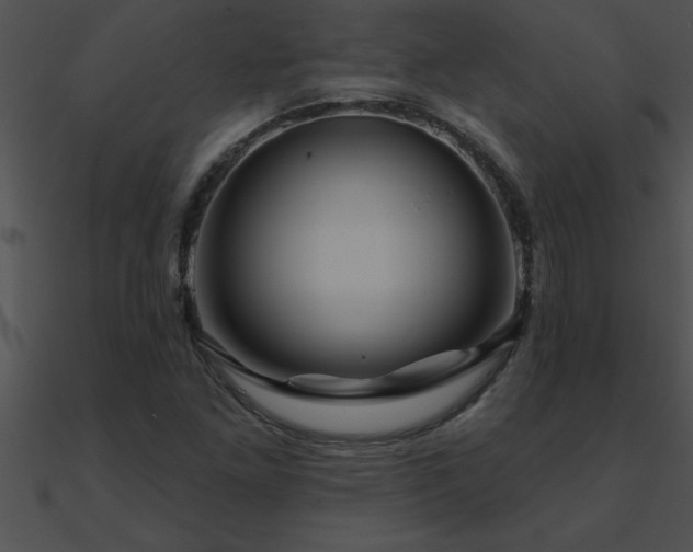 X0000090981261200708021451