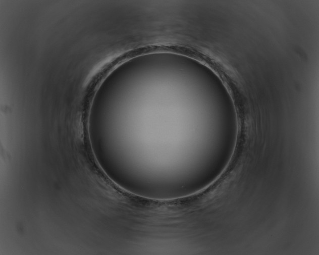 X0000090981262200708021451