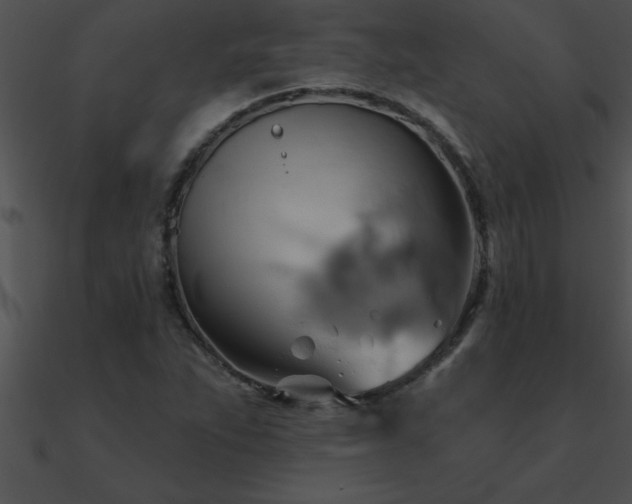 X0000090981263200708021451