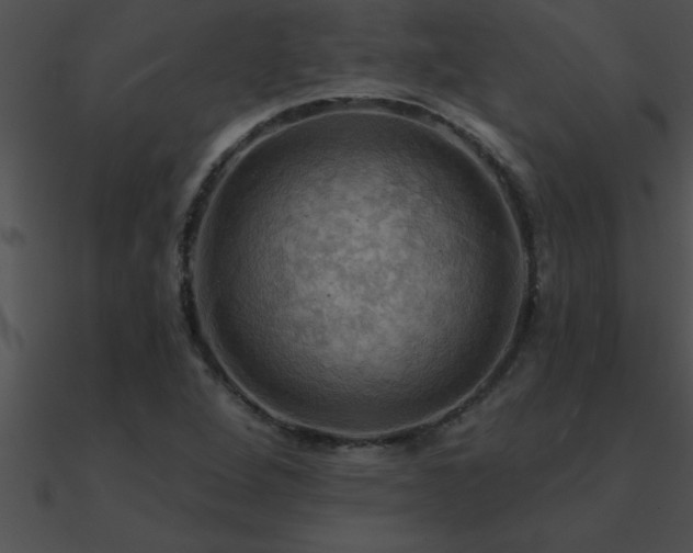 X0000090981264200708021451