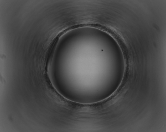 X0000090981265200708021451