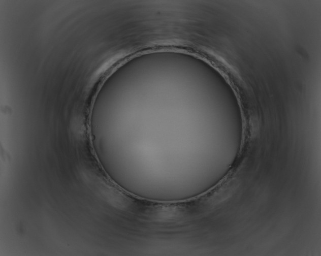 X0000090981266200708021451