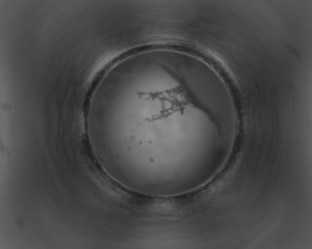 X0000090981267200708021451