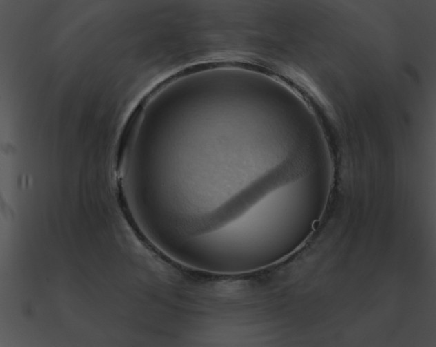 X0000090981268200708021451