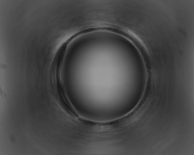 X0000090981269200708021451