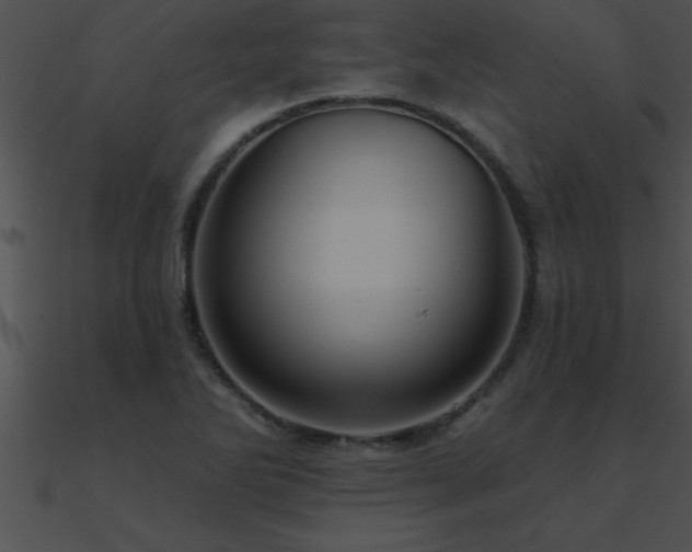 X0000090981270200708021451