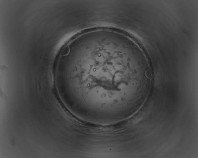 X0000090981271200708021451
