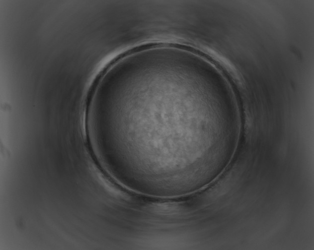 X0000090981272200708021451
