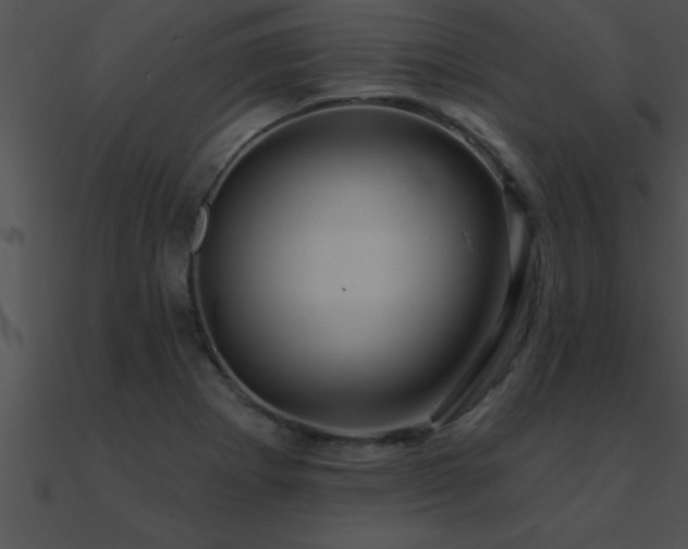 X0000090981273200708021451
