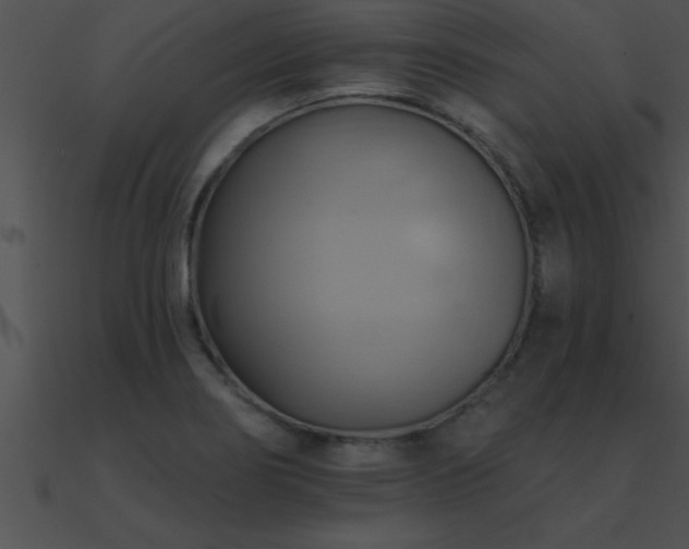 X0000090981274200708021451