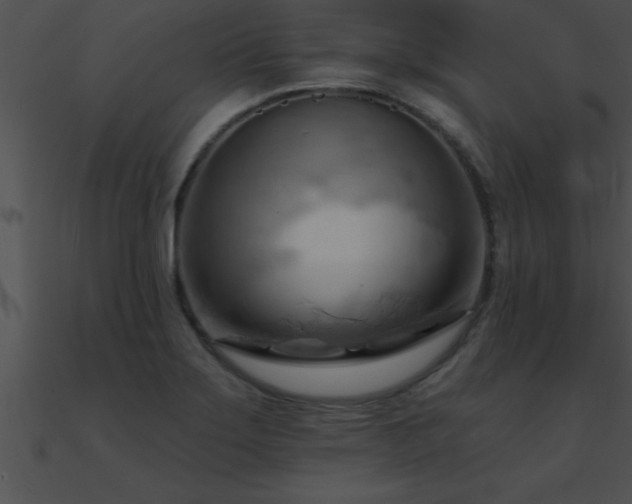 X0000090981275200708021451