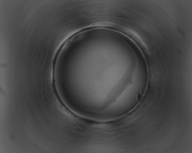 X0000090981276200708021451