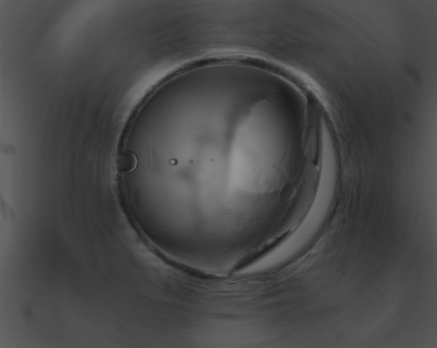 X0000090981279200708021451