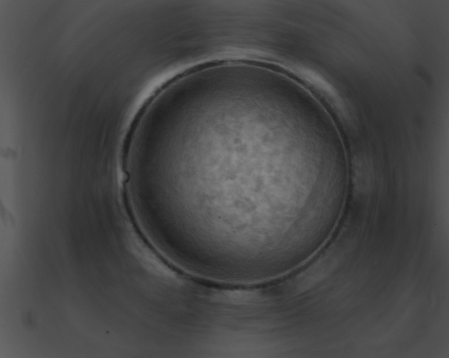 X0000090981280200708021451