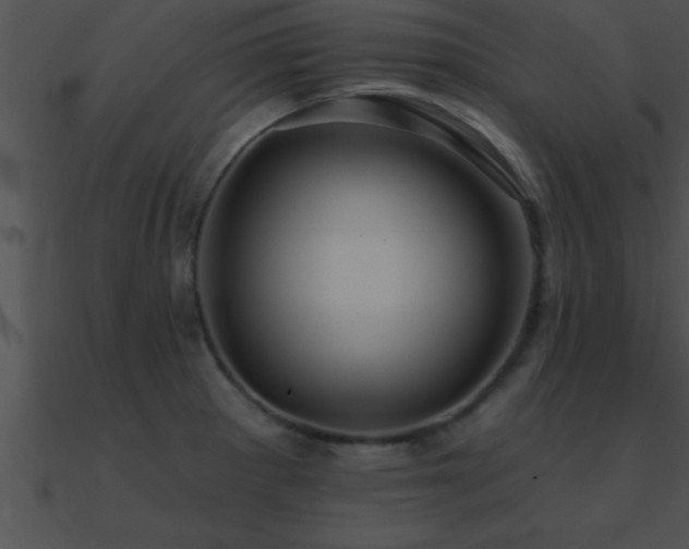 X0000090981281200708021451