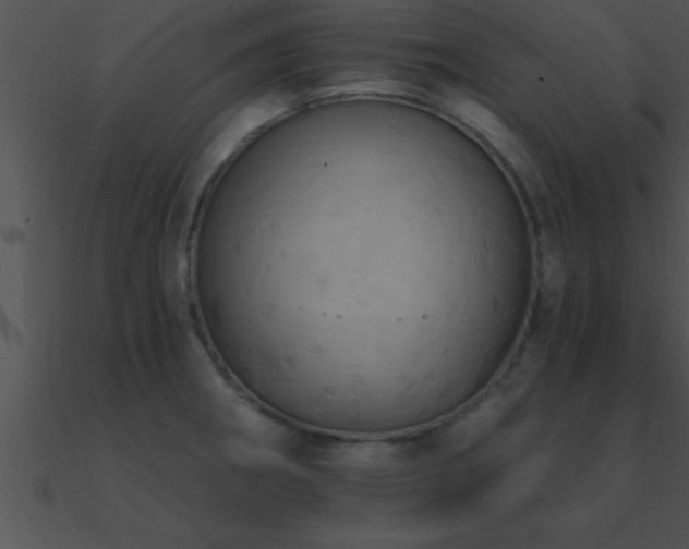X0000090981282200708021451