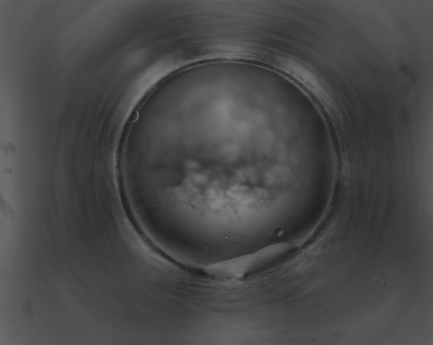 X0000090981283200708021451