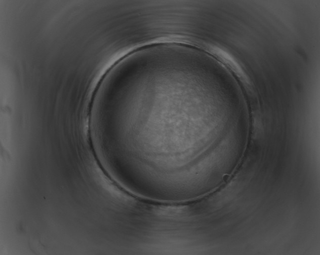 X0000090981284200708021451