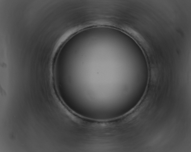X0000090981286200708021451