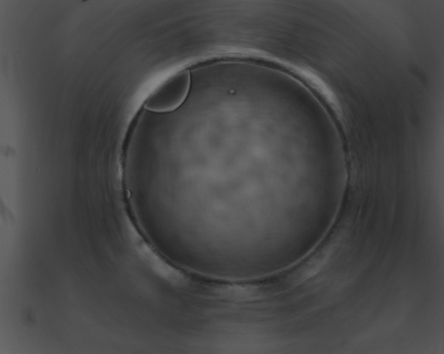 X0000090981287200708021451