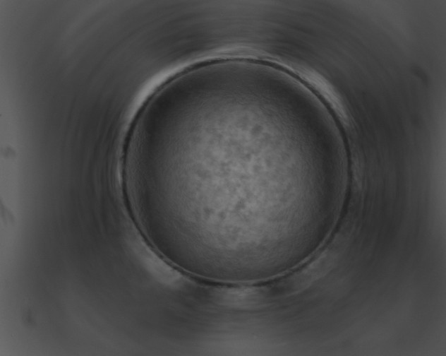 X0000090981288200708021451