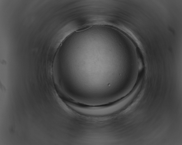 X0000090981289200708021451