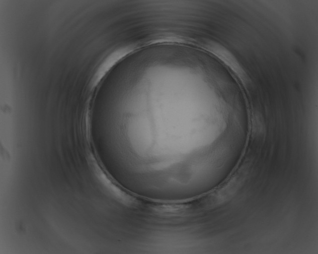 X0000090981290200708021451