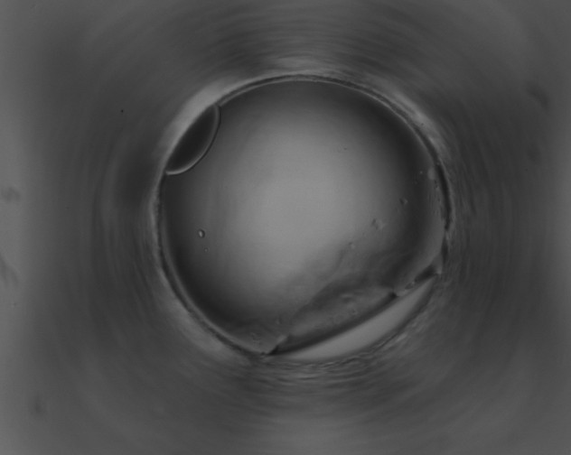 X0000090981291200708021450
