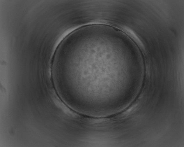 X0000090981292200708021450