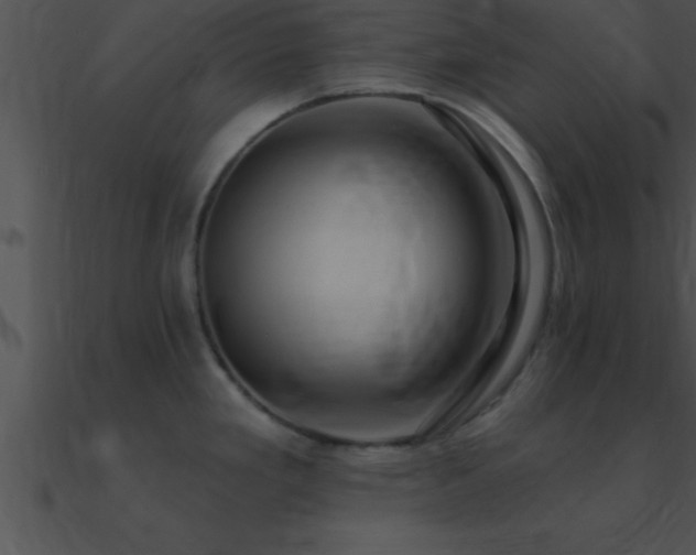 X0000090981293200708021450