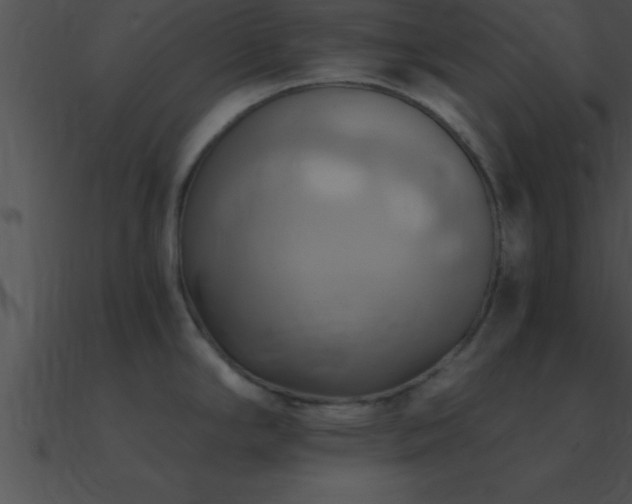 X0000090981294200708021450