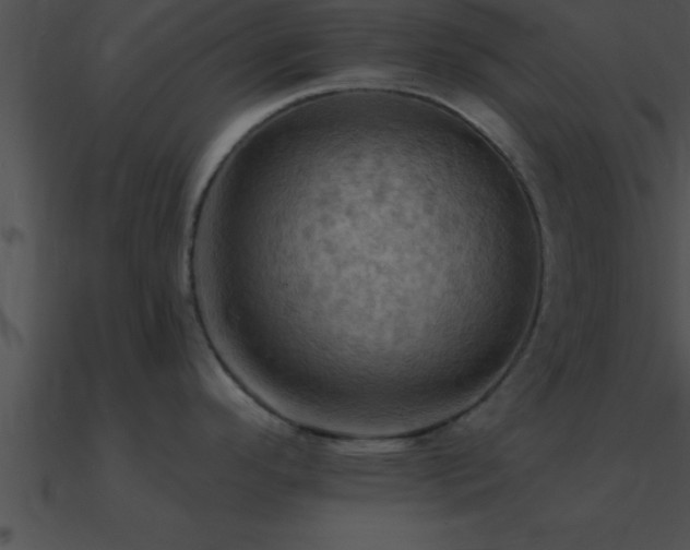 X0000090981296200708021450