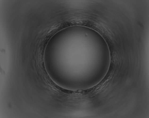X0000090981297200708021450