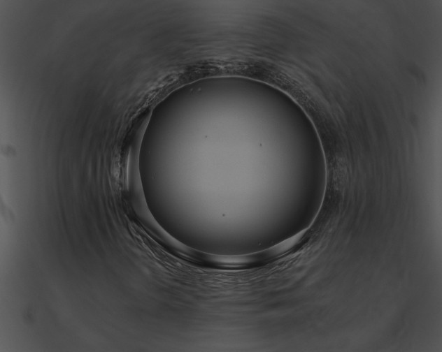 X0000090981298200708021450