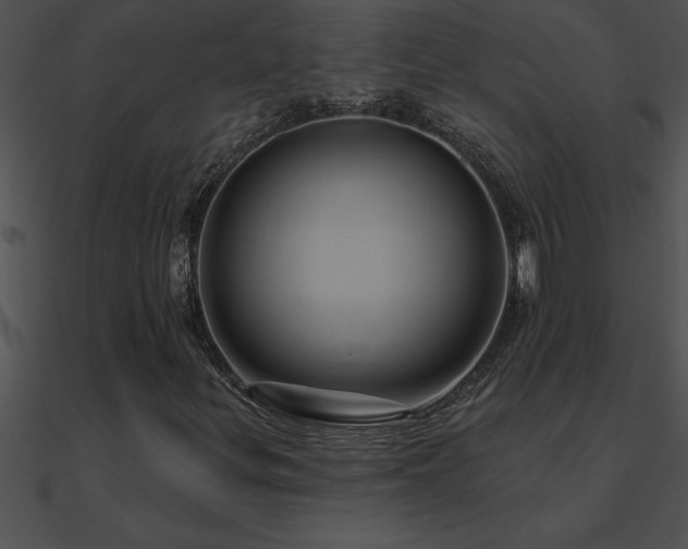 X0000090981299200708021450