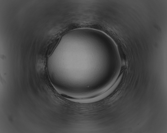 X0000090981300200708021450