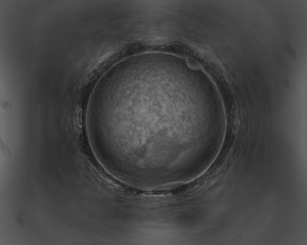 X0000090981301200708021450