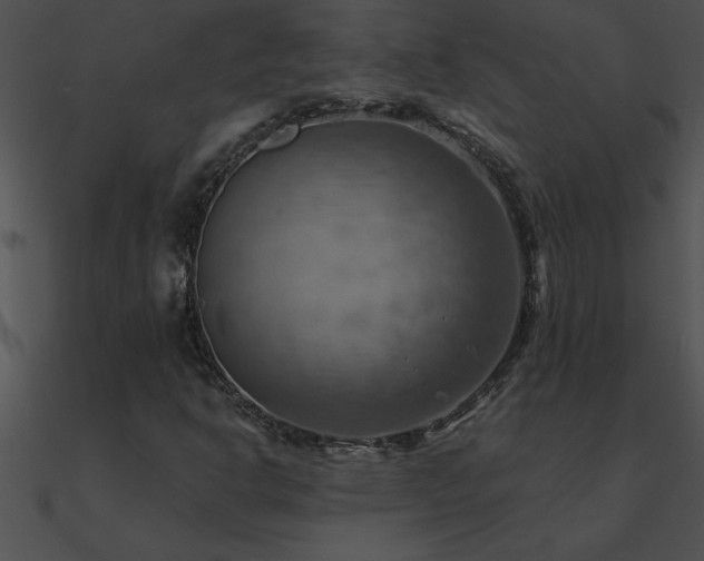 X0000090981302200708021450