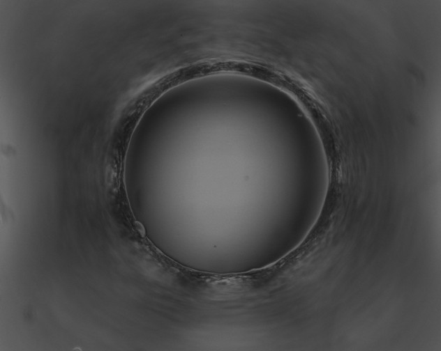 X0000090981303200708021450