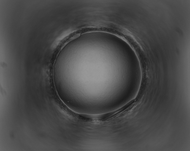 X0000090981304200708021450