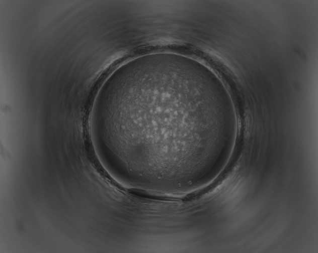 X0000090981305200708021450
