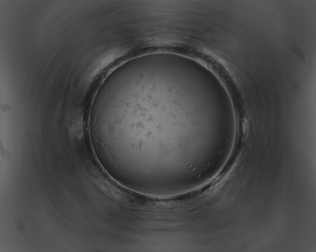 X0000090981306200708021450