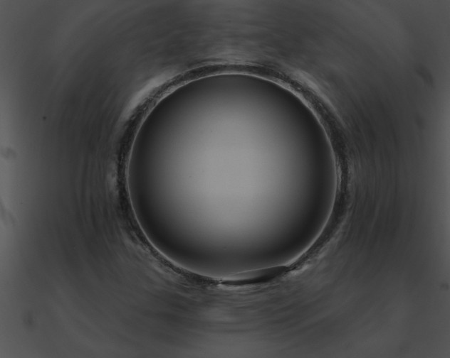 X0000090981307200708021450