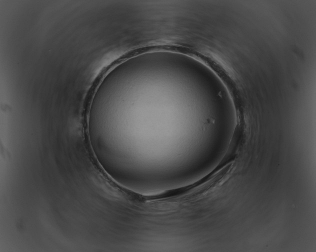 X0000090981308200708021450