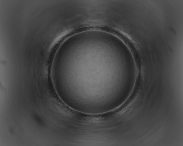 X0000090981309200708021450