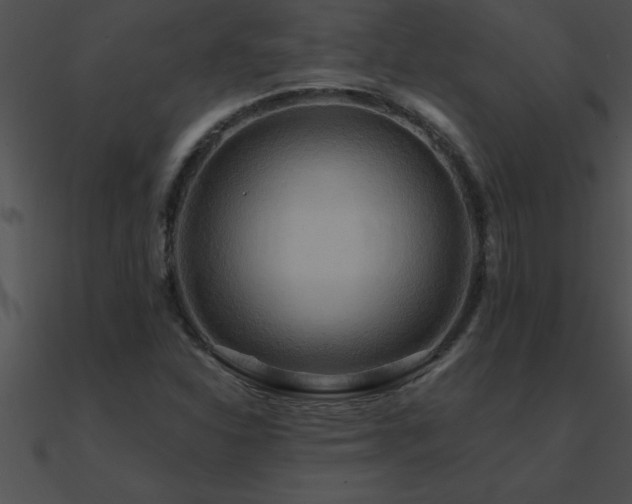 X0000090981310200708021450