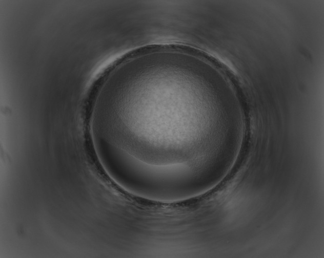X0000090981311200708021450