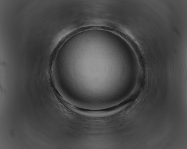 X0000090981312200708021450