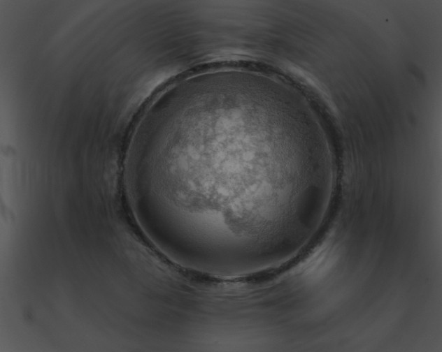 X0000090981313200708021450